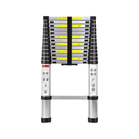 Inaithiram Foldable Aluminium Telescopic Ladder 150kg Capacity in Folded State with Strong Handle Base