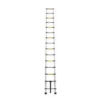 Inaithiram 150kg Capacity Foldable Aluminium Telescopic Ladder with 15 Steps in Extended State