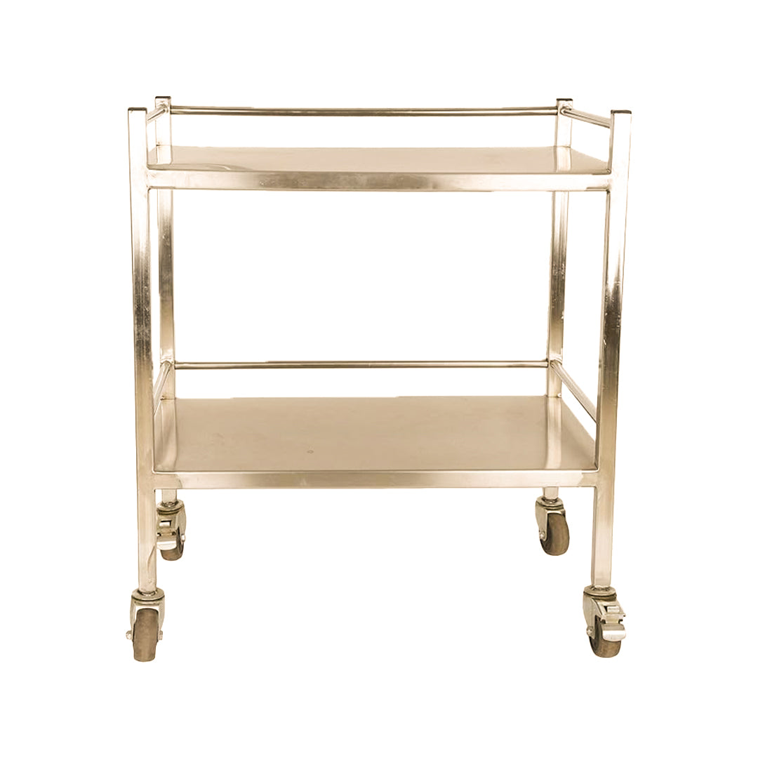 Inaithiram MSIT2RPU Mild Steel 2 Shelves Instrument Trolley Back View
