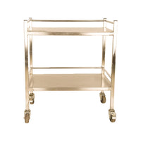 Inaithiram MSIT2RPU Mild Steel 2 Shelves Instrument Trolley Back View