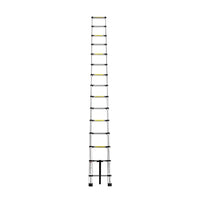 Inaithiram 150kg Capacity Foldable Aluminium Telescopic Ladder in Extended State